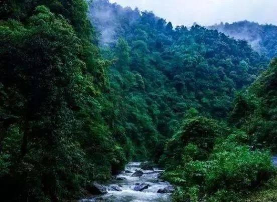 《岷峨诗稿》150期丨刘道平:冰封北国雪纷纷，朔雁南归欲断魂